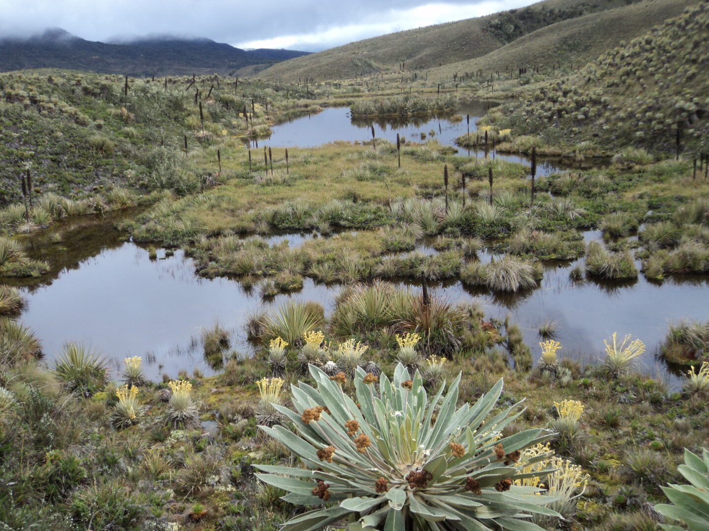 donde-nace-el-rio-bogota-001