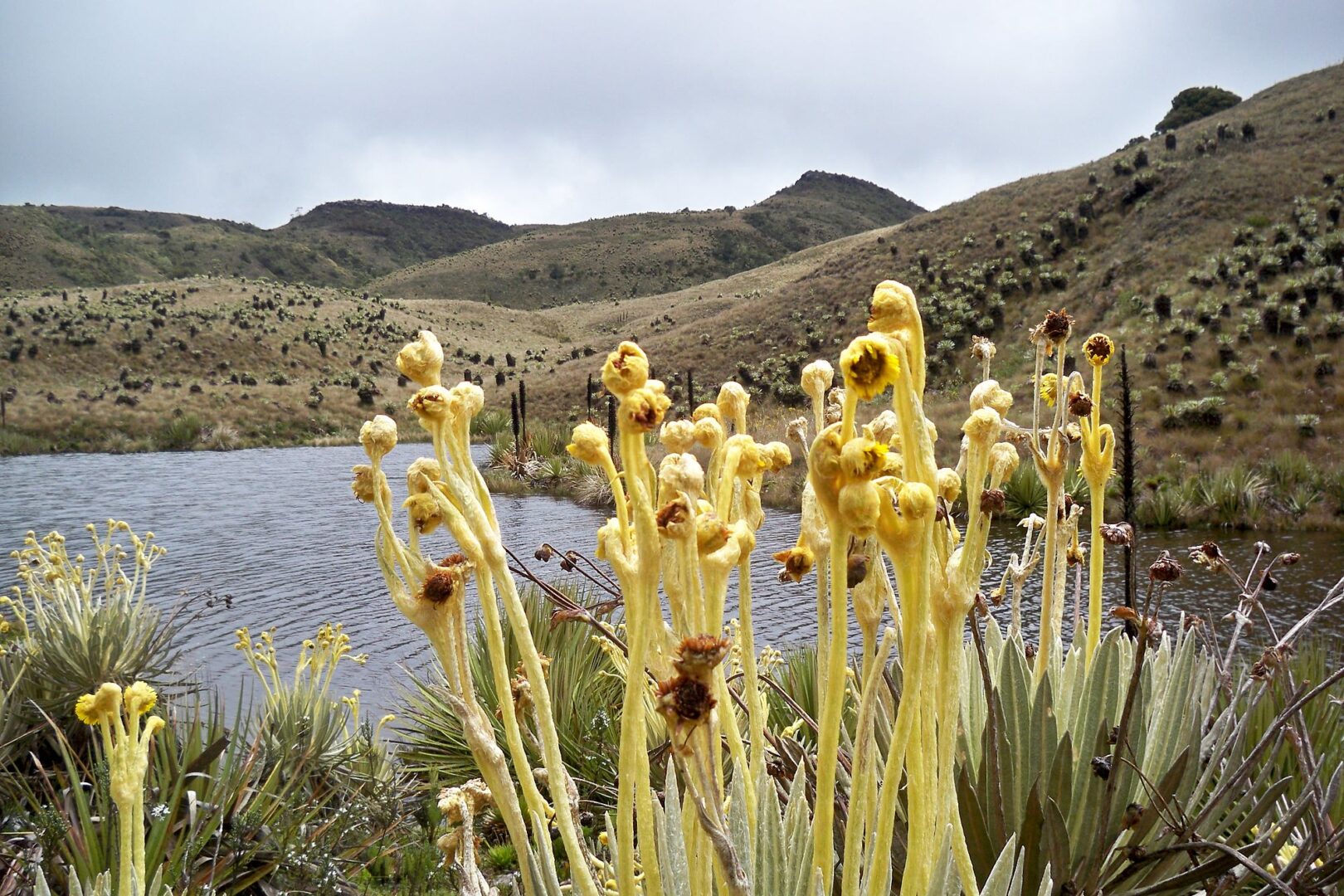 donde-nace-el-rio-bogota-005
