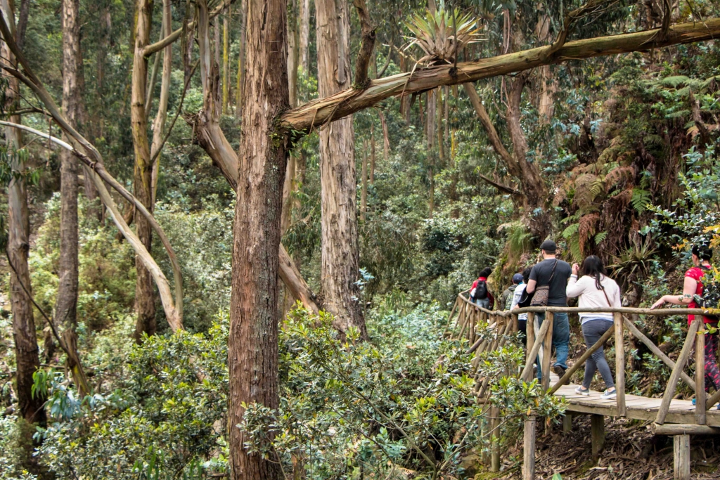 caminatas-ecologicas-bogota-001
