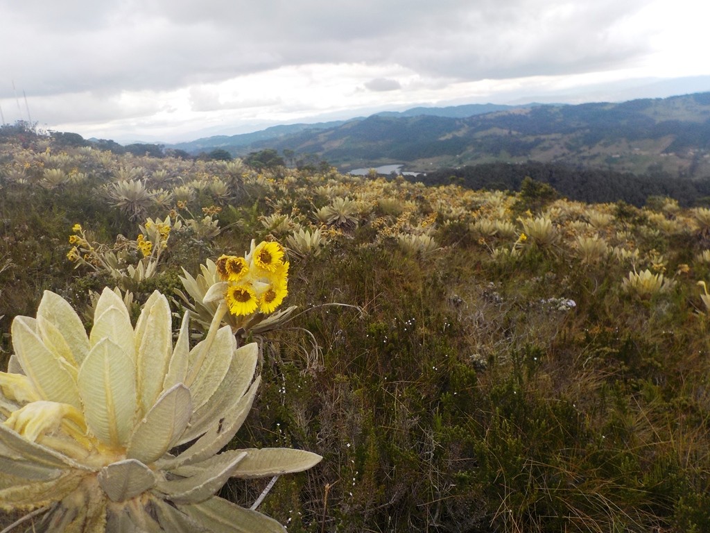 cerro-el-tablazo-002