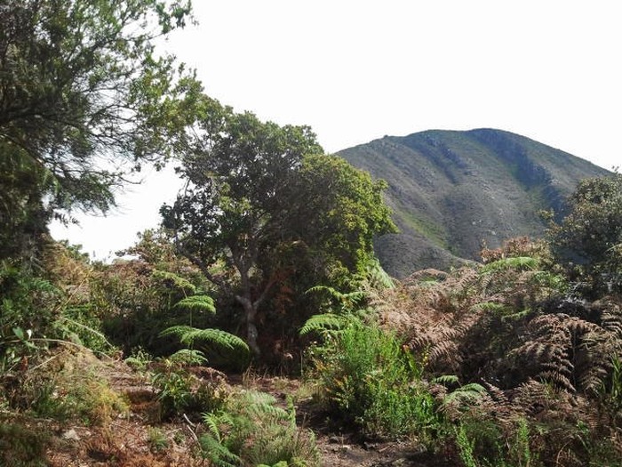 cerro-majuy-001