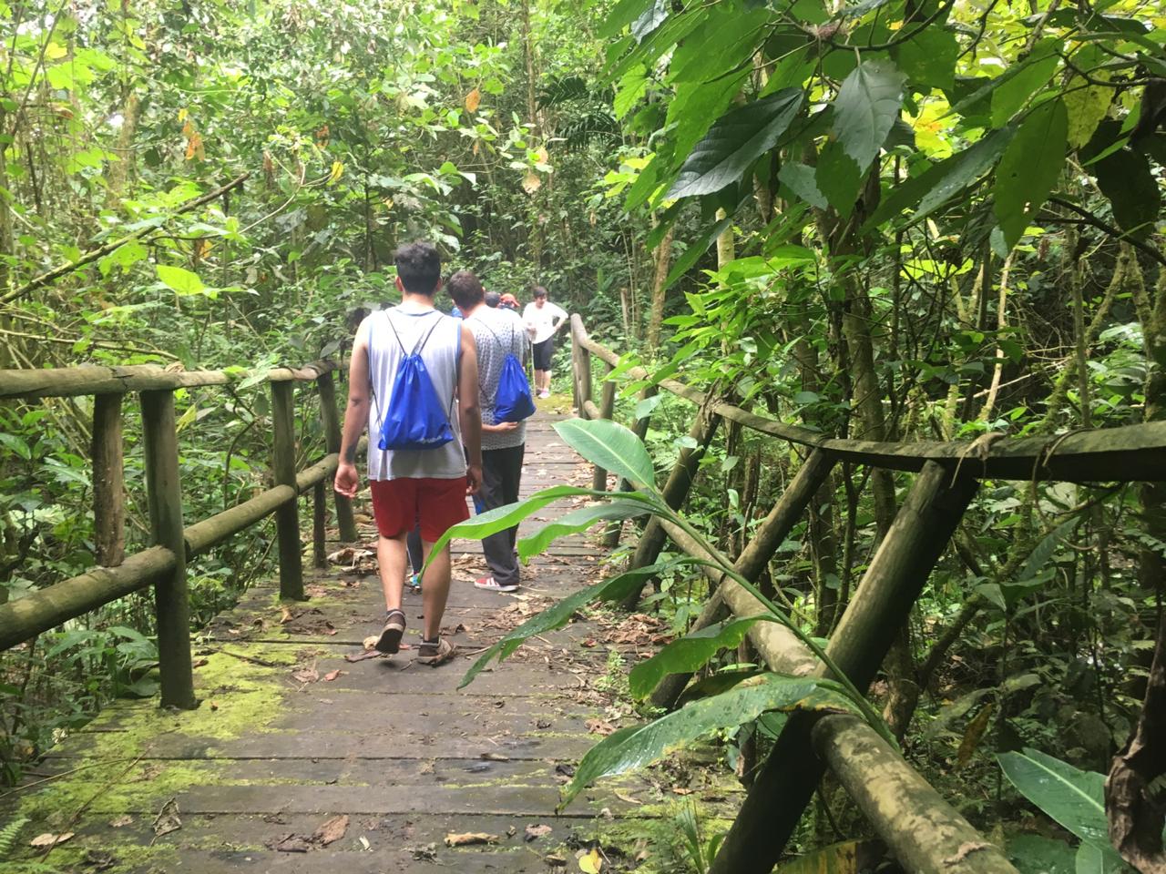 caminatas-al-aire-libre-001